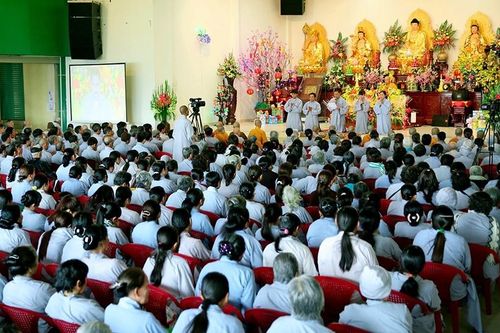 Tạp tu và chuyên tu