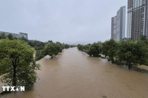 Hàn Quốc: Hơn 500 người phải sơ tán do mưa lớn gây ngập lụt
