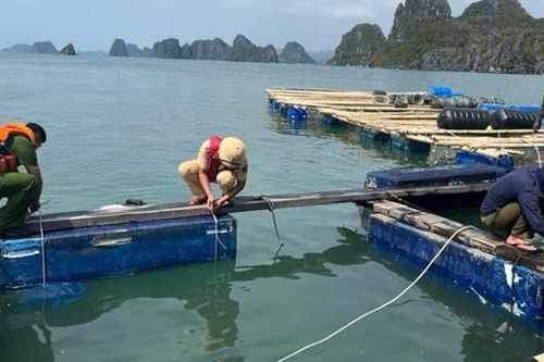 Nghìn tỷ trôi sông, đổ biển (Bài 1)