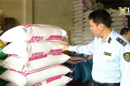 Kiểm soát giá lương thực, thực phẩm sau bão số 3 | Quản lý thị trường | 19/09/2024