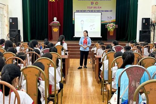 Tập huấn ban chỉ huy liên đội và thiếu nhi nòng cốt cho 100 học sinh