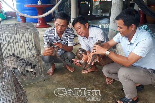 Ða cây, đa con, cho thu nhập khá