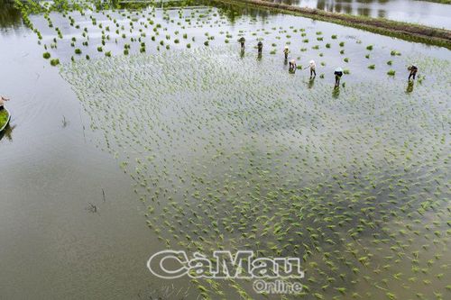 Phát huy lợi thế nông sản sạch