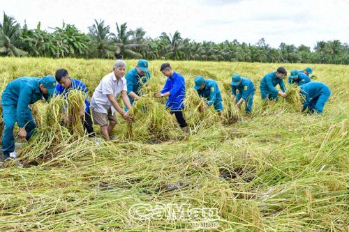 Thích ứng với biến đổi khí hậu