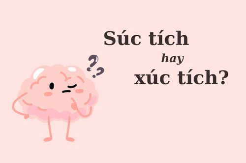 'Súc tích' hay 'xúc tích', từ nào mới đúng?
