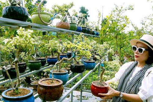 Làng văn hóa du lịch Chợ Lách: 'Đòn bẩy' phát triển du lịch Bến Tre