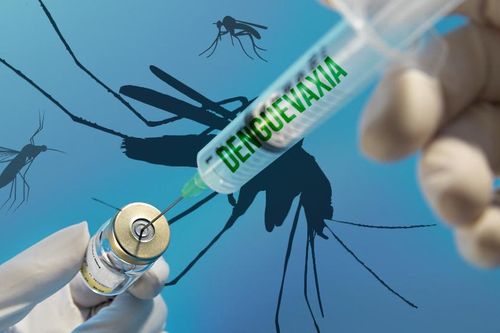 Bộ Y tế chính thức cấp phép vắc xin phòng bệnh sốt xuất huyết