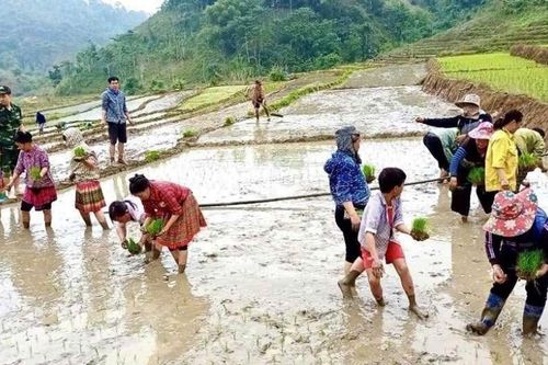 Phát huy nội lực xây dựng nông thôn mới