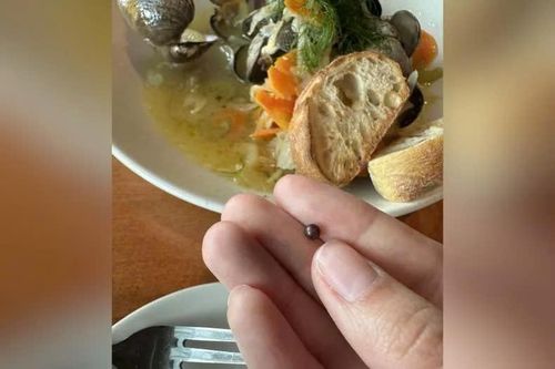 Vô tình cắn phải viên ngọc trai tím siêu hiếm khi đang ăn nghêu xào