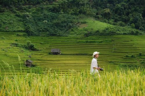 Lào Cai mở tour ngắm ruộng bậc thang kết hợp thiện nguyện sau bão