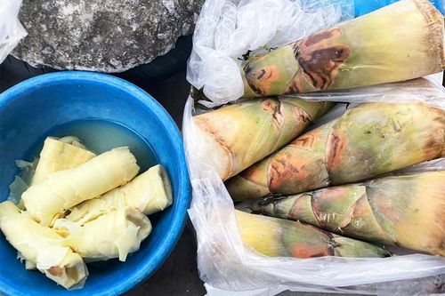 Cách chế biến măng tươi an toàn, tránh bị ngộ độc
