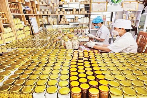 Nâng cao năng lực chế biến cho các HTX nông nghiệp