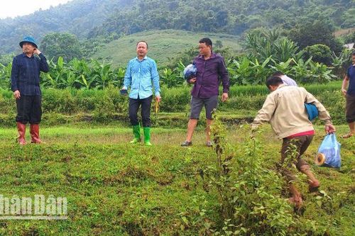 Sơn La tiếp tục di dời khẩn cấp nhiều hộ do nguy cơ sạt lở