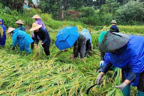 Mưa, lũ diễn biến phức tạp ở Thanh Hóa