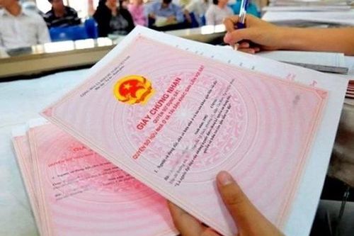 'Khai thông' bảng giá đất, ngành thuế TPHCM giải quyết 1.800 hồ sơ/ngày
