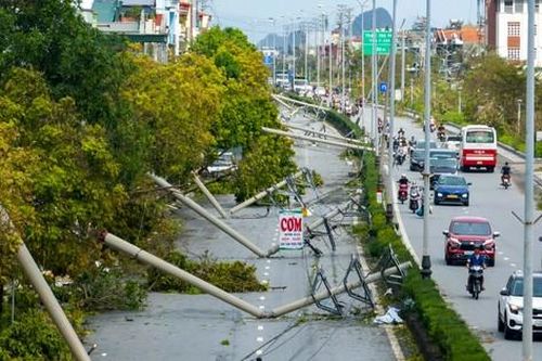 Tái thiết sau bão Yagi - Kỳ I: Quảng Ninh tan hoang