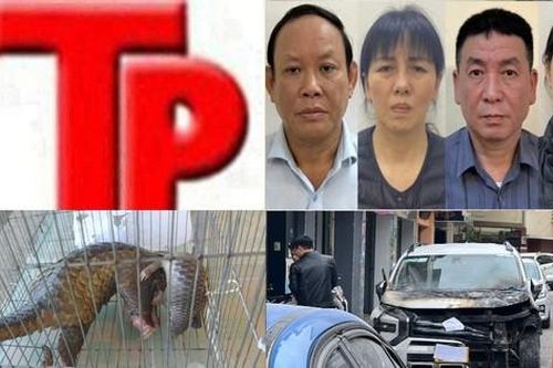 Bản tin Hình sự: Hai bố con chủ tiệm vàng tóm gọn tên cướp cầm dao
