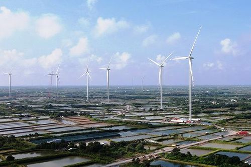 Điện gió Phước Hữu - Duyên Hải 1 sạch nợ trái phiếu vẫn báo lỗ