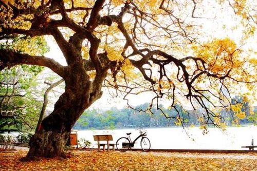Thời tiết từ ngày 23-29/9: Miền Bắc bắt đầu tiết thu phân