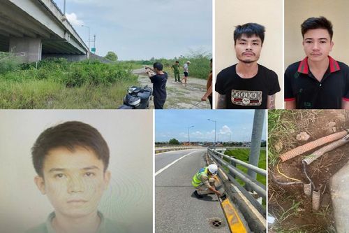 Nhóm trộm cắp dây cáp điện trên cao tốc Hà Nội – Hải Phòng sa lưới