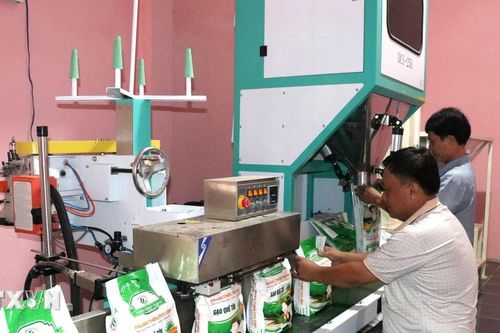 Trà Vinh: Cách thức HTX liên kết với doanh nghiệp để sản xuất gạo 'đạt chuẩn'