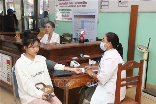 Tỉnh Luang Namtha của Lào tích cực triển khai công tác khắc phục hậu quả bão Yagi