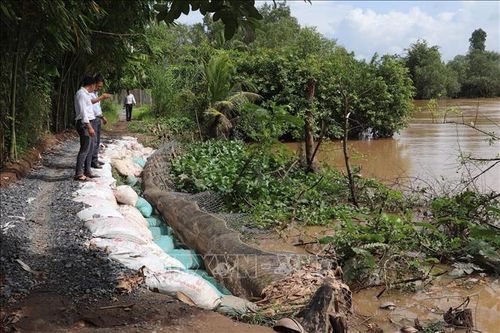 Sạt lở bờ sông vùng đầu nguồn sông Tiền ngày càng nghiêm trọng