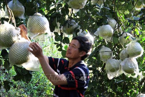 Chăm lo đời sống, giữ vững an ninh trật tự vùng đồng bào dân tộc thiểu số ở Lâm Đồng