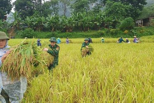 Thanh Hóa: Hàng trăm hộ dân ở xã biên giới bị cô lập, mất điện hoàn toàn do mưa lũ