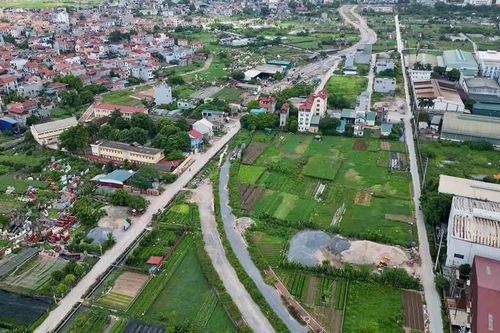 Huyện Thường Tín cưỡng chế thu hồi hơn 7.000m2 đất nông nghiệp để đấu giá