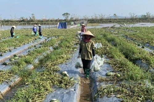 Đoàn Thanh niên Nhiệt điện Phả Lại xung kích, đóng góp tích cực cho sự phát triển của địa phương