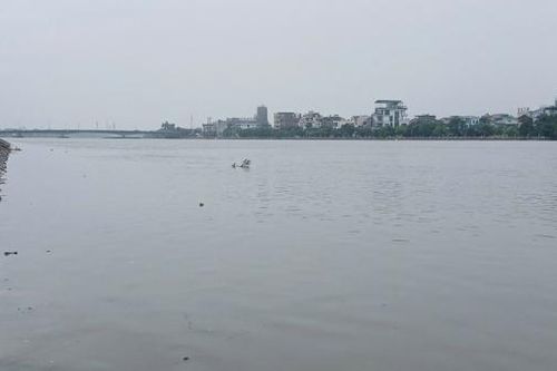 Hà Nam: Lũ trên sông Đáy lên sát báo động 3