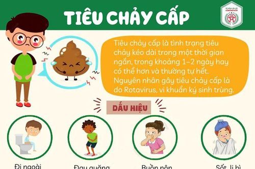 Phòng, chống bệnh tiêu chảy cấp