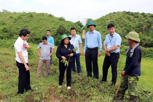 Thường trực HĐND tỉnh giám sát chuyên đề tại huyện Điện Biên Đông