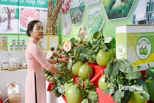 Phê duyệt 3 nhiệm vụ khoa học công nghệ thuộc Chương trình Phát triển tài sản trí tuệ đến năm 2030