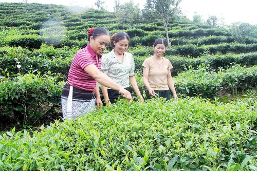 Phụ nữ bản Pa Pe: Vươn lên phát triển kinh tế