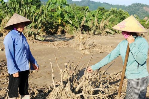 Cả làng hối hả đi cứu na