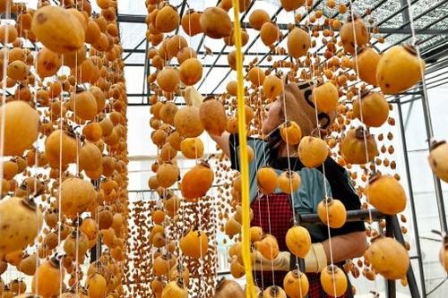 Thơm ngọt hồng kem Đà Lạt