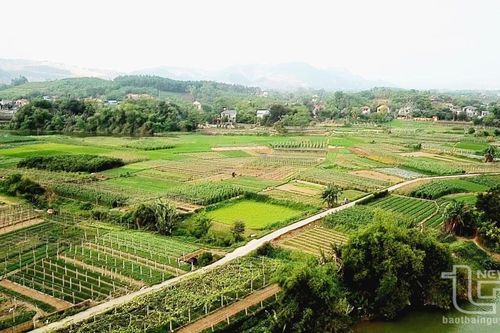 Đất soi bãi ven sông Cầu: Tiềm năng phát triển nông nghiệp công nghệ cao