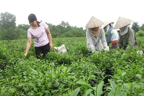 La Giai - xóm nhỏ thân thương