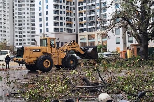 TKV khắc phục bão số 3: 'Chúng tôi cảm ơn TKV và thợ mỏ' (Bài 3)