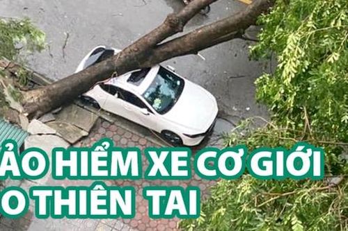 Bảo hiểm bắt buộc bị loại trừ do động đất?