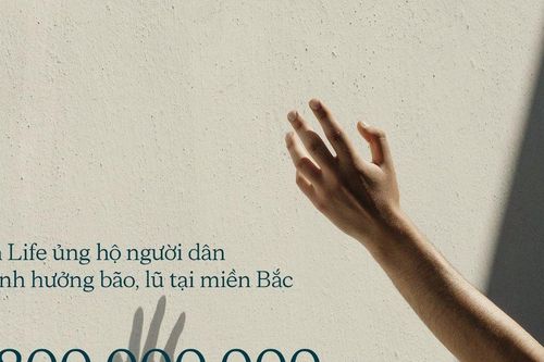 Sun Life Việt Nam: Đóng góp 1,8 tỷ đồng hỗ trợ người dân vượt qua bão lũ Yagi và lũ lụt miền Bắc