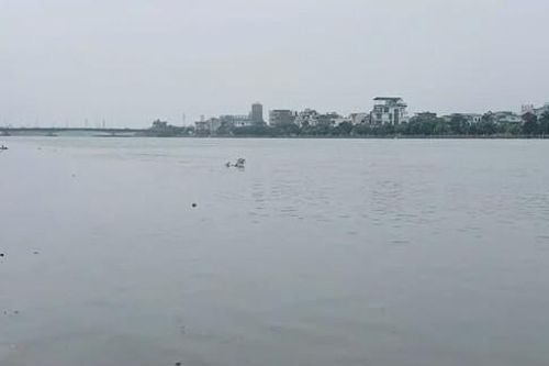 Mực nước trên sông Đáy vượt mức báo động 3