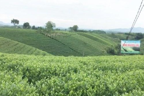 Thái Nguyên: Tập trung nguồn lực phát triển tiềm năng du lịch