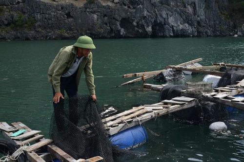 Bài cuối: Những đồng vốn gieo niềm hy vọng