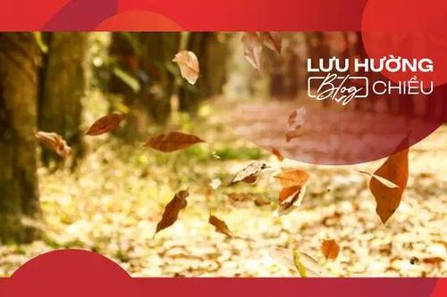 Gió thu gieo niềm nhớ
