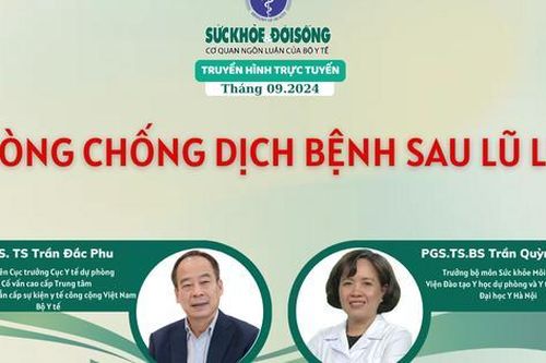 Truyền hình trực tuyến: Phòng chống dịch bệnh sau lũ lụt
