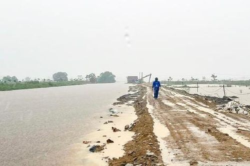 Lũ trên sông Lam đang dâng cao, nguy cơ tràn đê bao