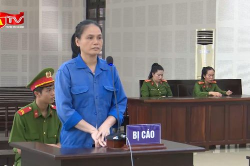 Lừa bán đất của người khác, 'nữ quái' chiếm đoạt hơn 13 tỷ đồng